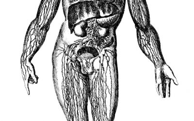 Savoir sans sujet : HAS, Evidence Based Medicine et normalisation psychopathologique
