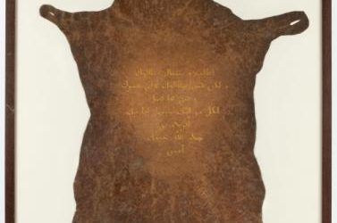 Clinique lacanienne – Chapitre III – La peau de chagrin